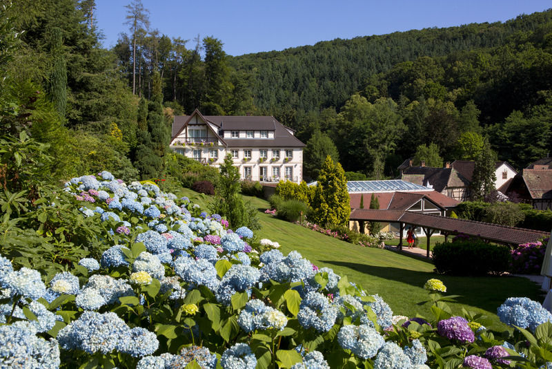 Hotel 6717 Nature Hôtel&spa Le Clos Des Délices Ottrott