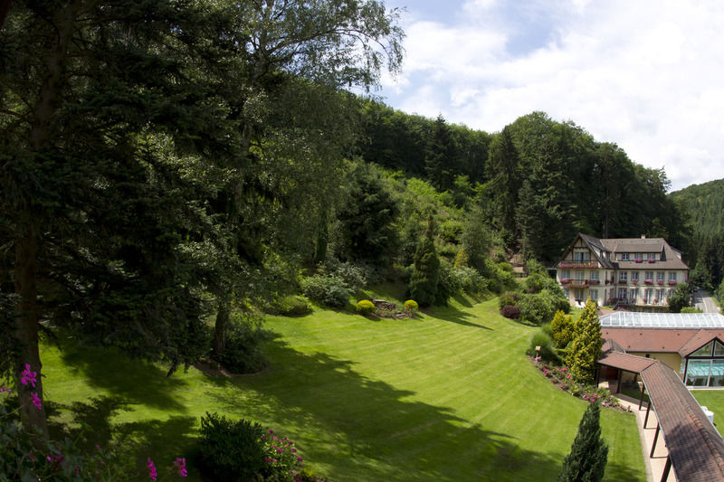 6717 Nature & Le Clos Des Delices Ottrott